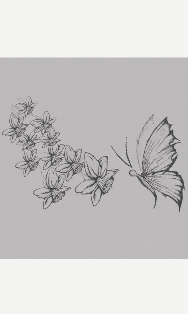 Butterfly Sketch on Ladies Short Sleeve Tee